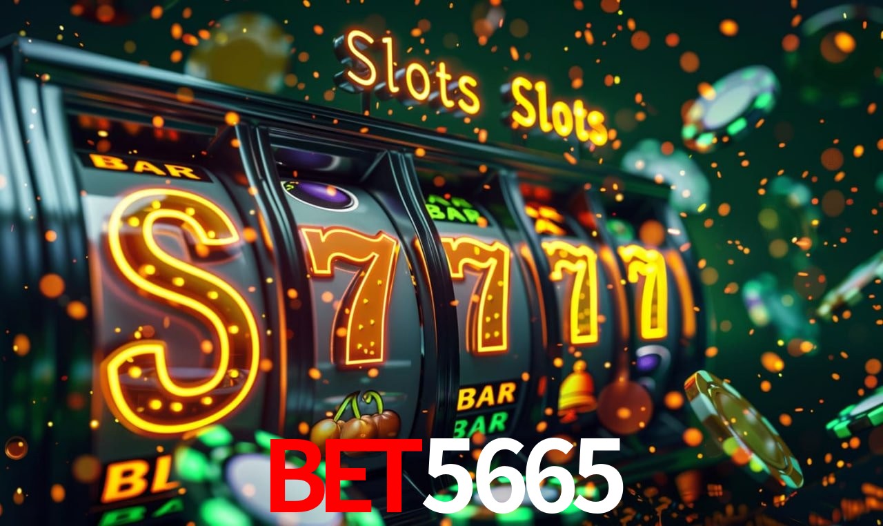 Experiência VIP bet5665